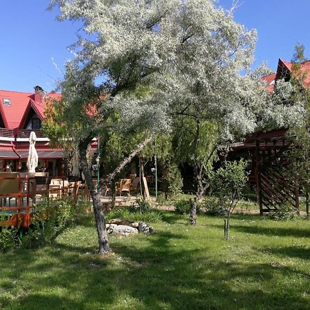 Pensiunea Casa Matei Hotel Berca Eksteriør billede